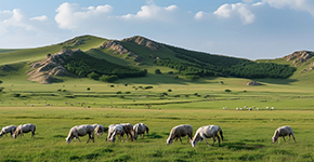 壩上草(cǎo)原+海留圖娛樂嘉年(nian)華+大(da)汗行