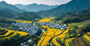 A2線(xiàn) 《千與千尋》景德(dé)鎮+秀美三清(qing)山(shān)+婺源篁嶺